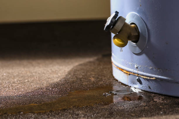 Reliable Berry Hill, TN Water damage restoration Solutions