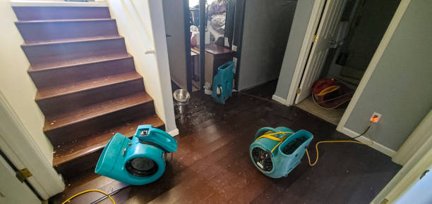 Best Water damage repair service  in Berry Hill, TN