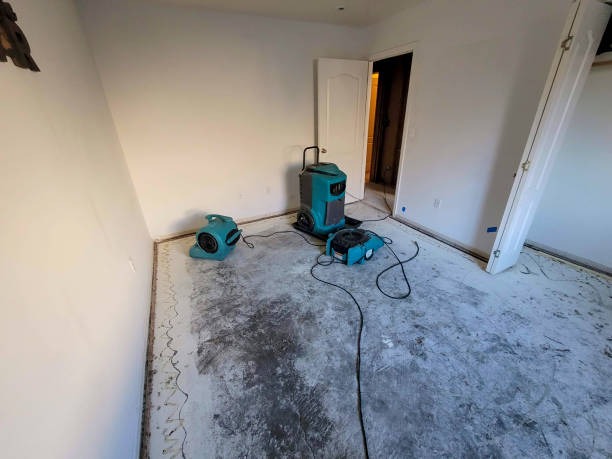 Best Professional water damage repair  in Berry Hill, TN