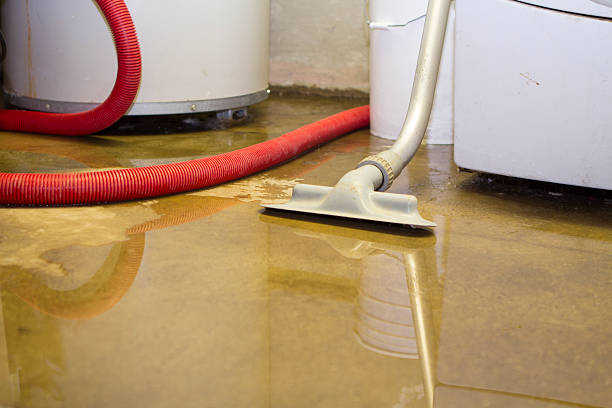 Best Water damage restoration services  in Berry Hill, TN