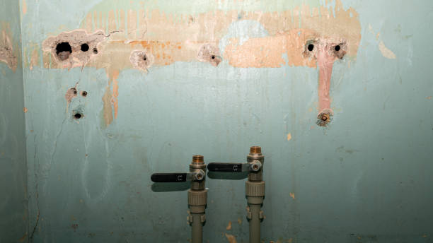 Best 24/7 water damage repair  in Berry Hill, TN